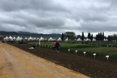 26.-Panorámica-GENVCE-2019