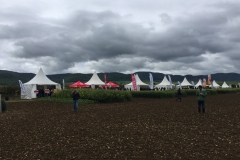 27.-Carpas-empresas-de-semillas